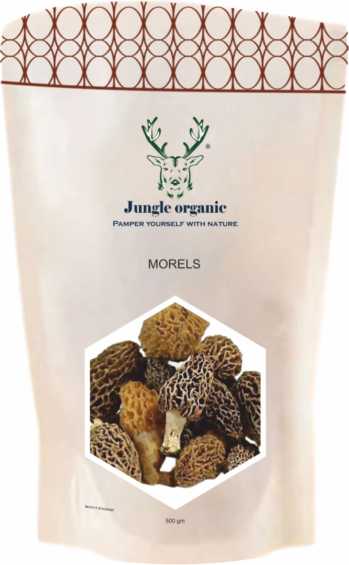 Morels Mushroom