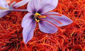 Saffron